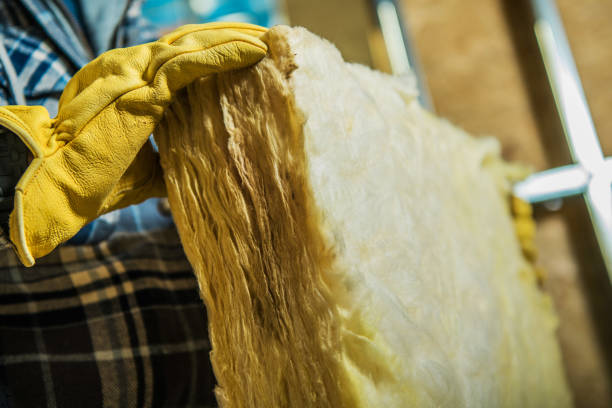 Best Local Insulation Services  in Lake Placid, NY