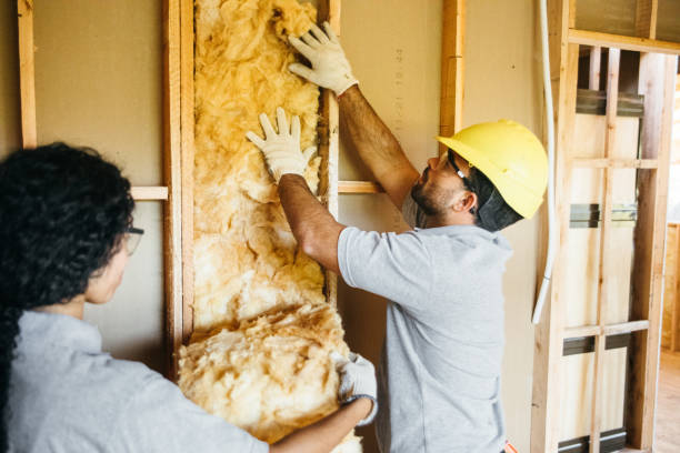 Best Local Insulation Services  in Lake Placid, NY