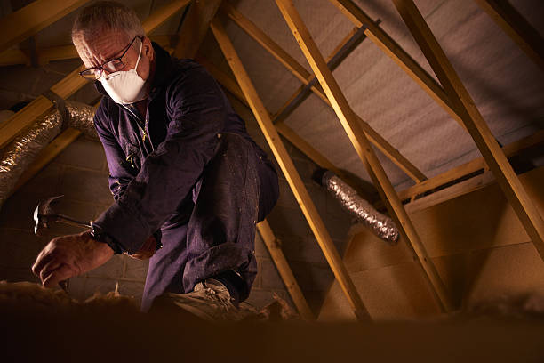 Best Professional Insulation Contractor  in Lake Placid, NY
