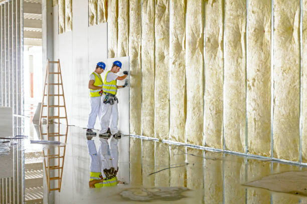 Best Crawl Space Insulation  in Lake Placid, NY